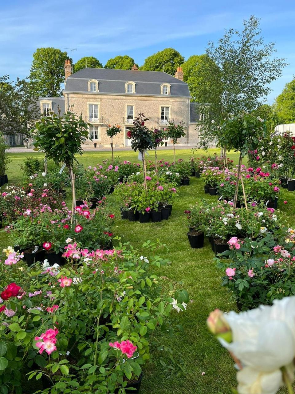 Le Manoir Du Ribardon *